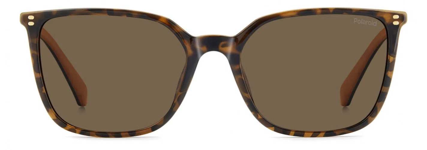 Polaroid Core PLD4209 Sunglasses - view 4